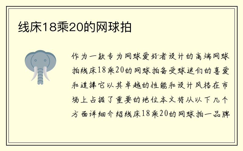 线床18乘20的网球拍